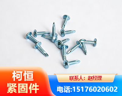 黔西南华司钻尾丝