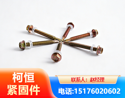 黔西南六角钻尾丝