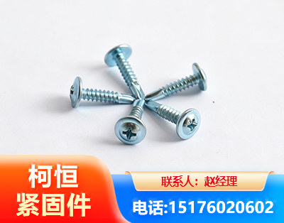 黔西南华司钻尾丝