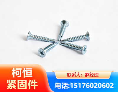 黔西南平头钻尾丝
